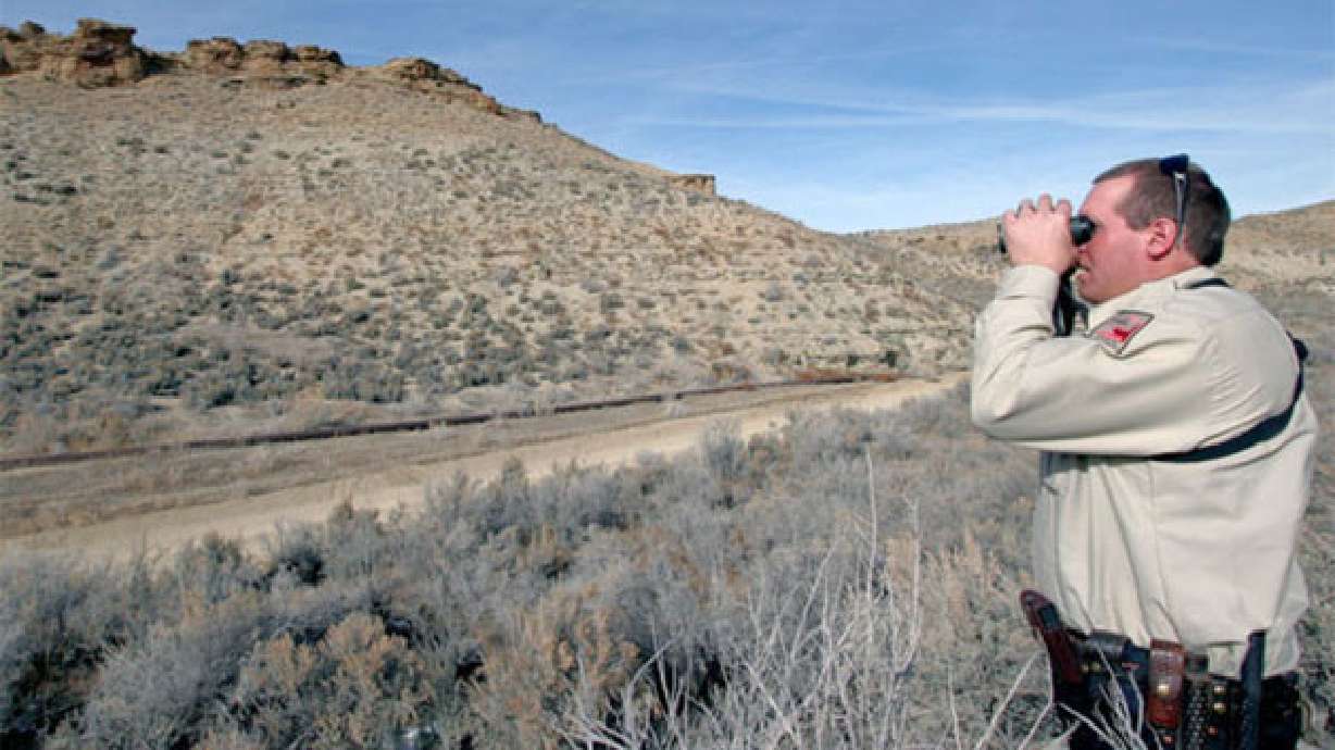 DWR renews crackdown on winter deer poachers