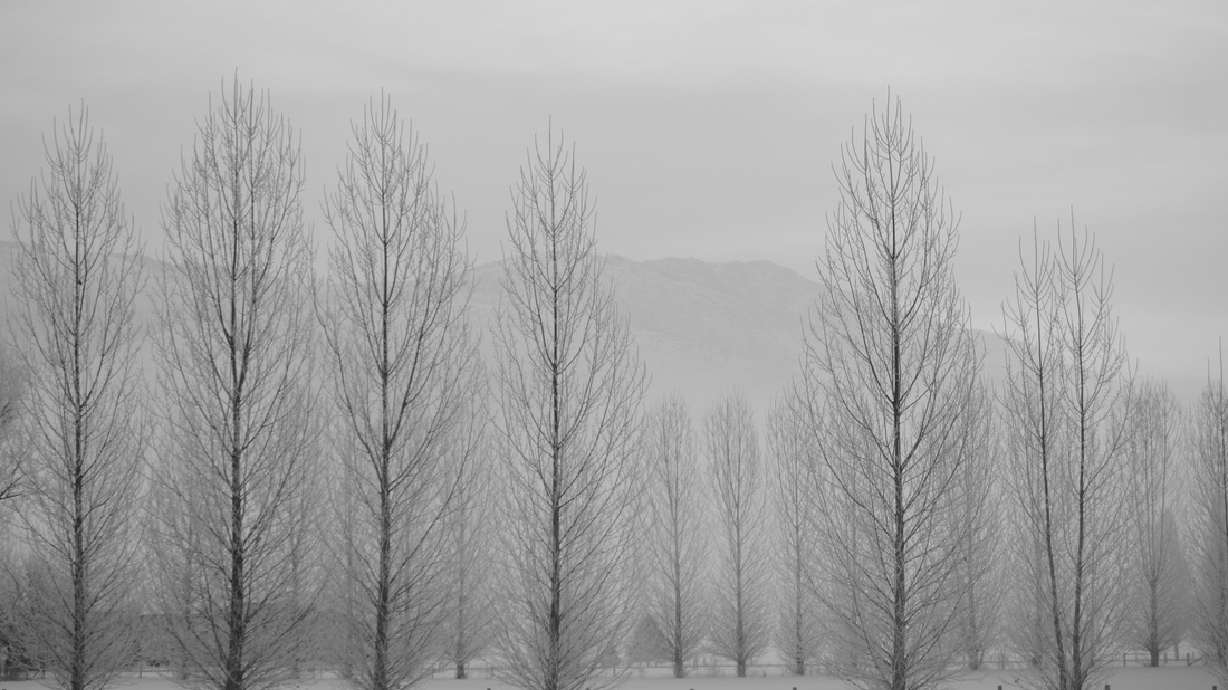 Blog of the Week: What to do in Ogden Valley