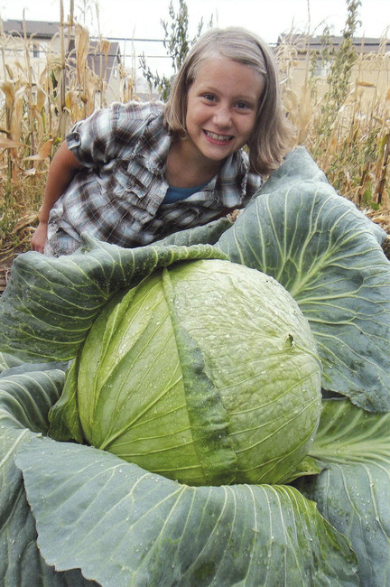 3rd grade student wins state contest for biggest cabbage