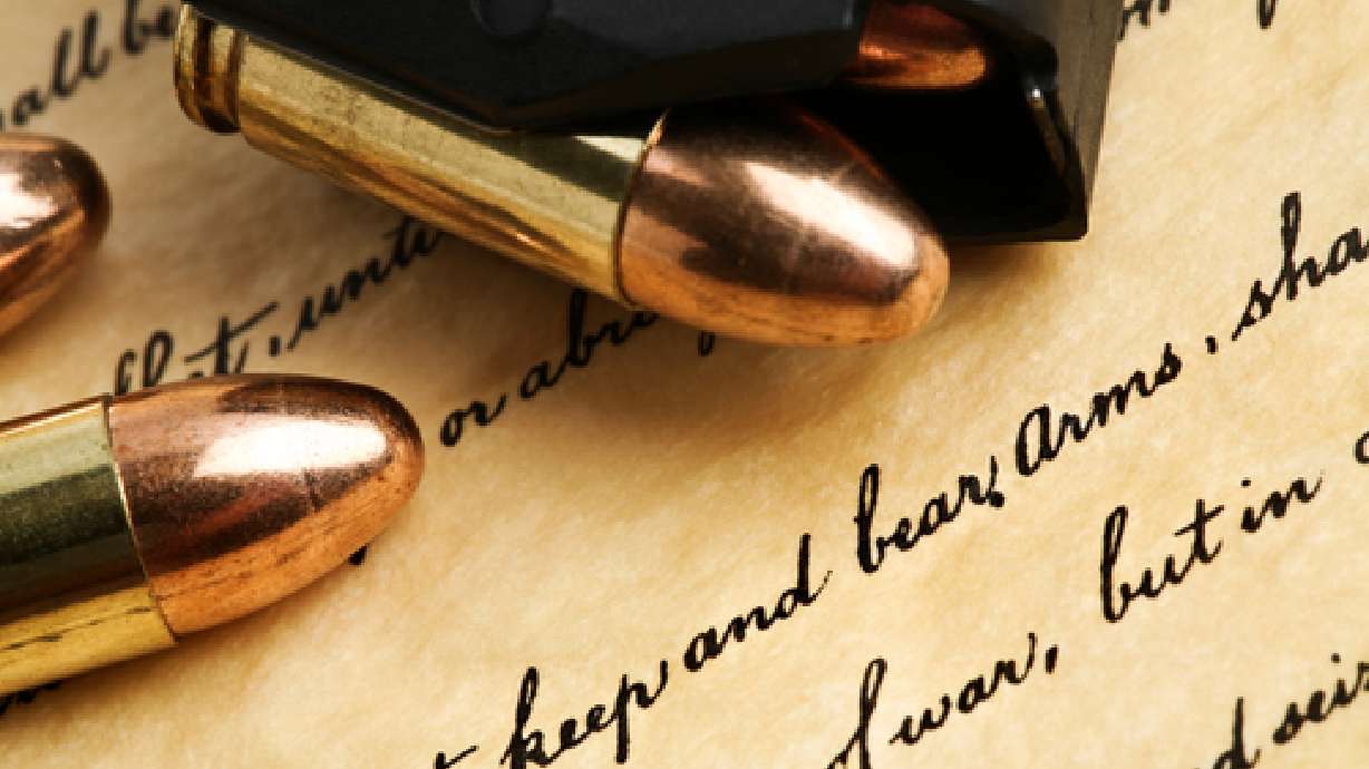 What you should know about the government's purchase of ammo