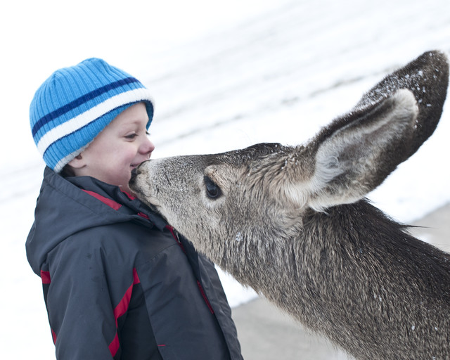 Amanda Tatro, who also lives in King's neighborhood, took photos of her kids standing face to face with a deer. (Photo: Amanda Tatro)