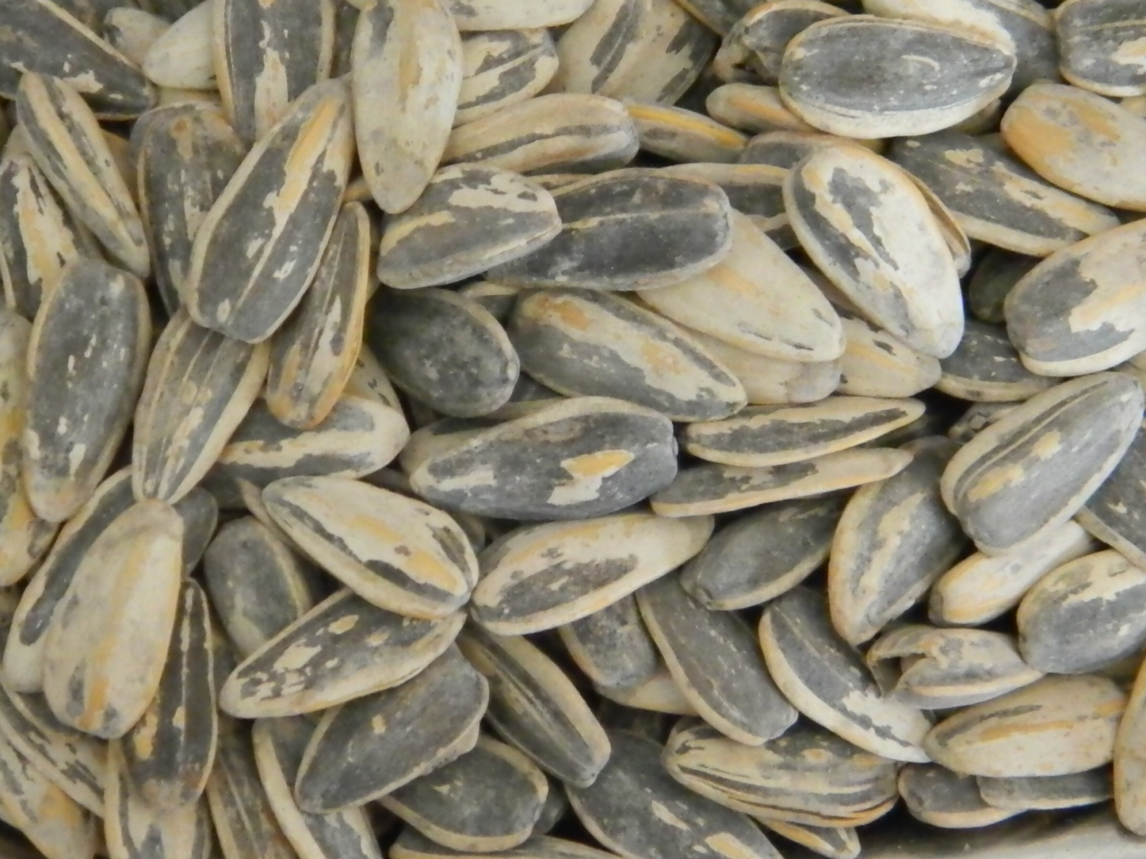 Sunflower Seeds