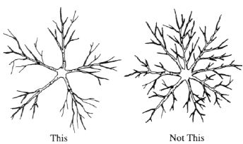 Figure 2. Space scaffold branches to allow access.