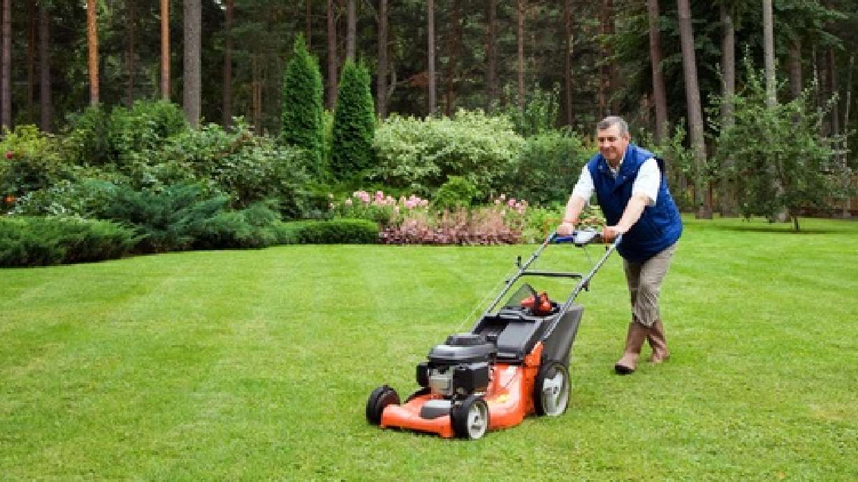 Mowing the lawn can make you happier, and 4 other psychological oddities