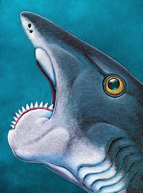 Bizarre spiral-toothed shark not actually a shark