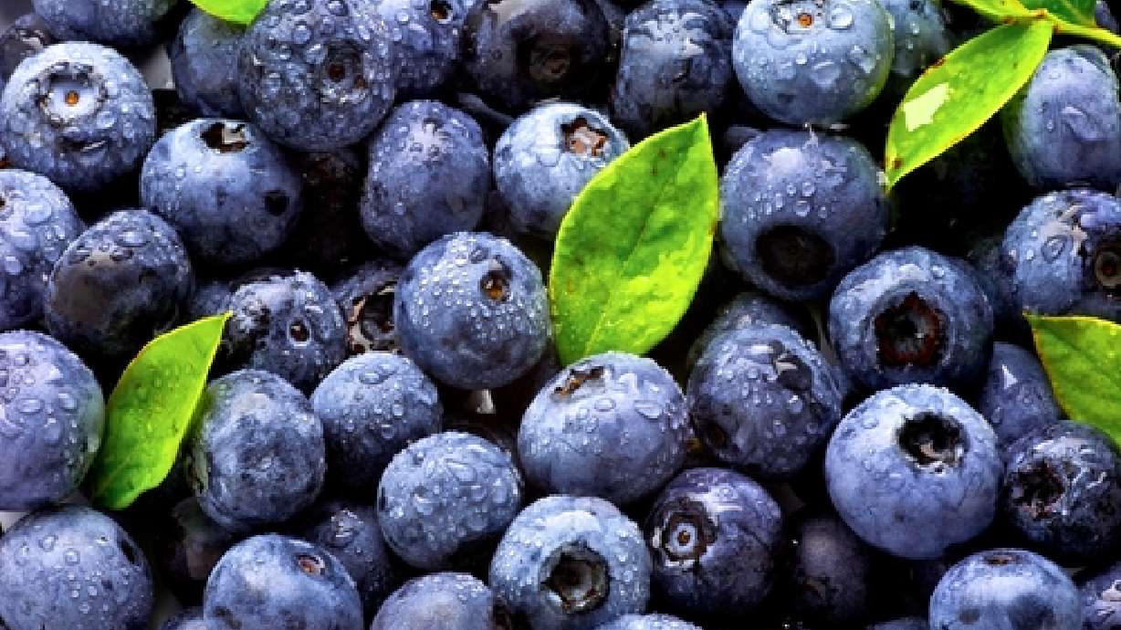 Blueberries