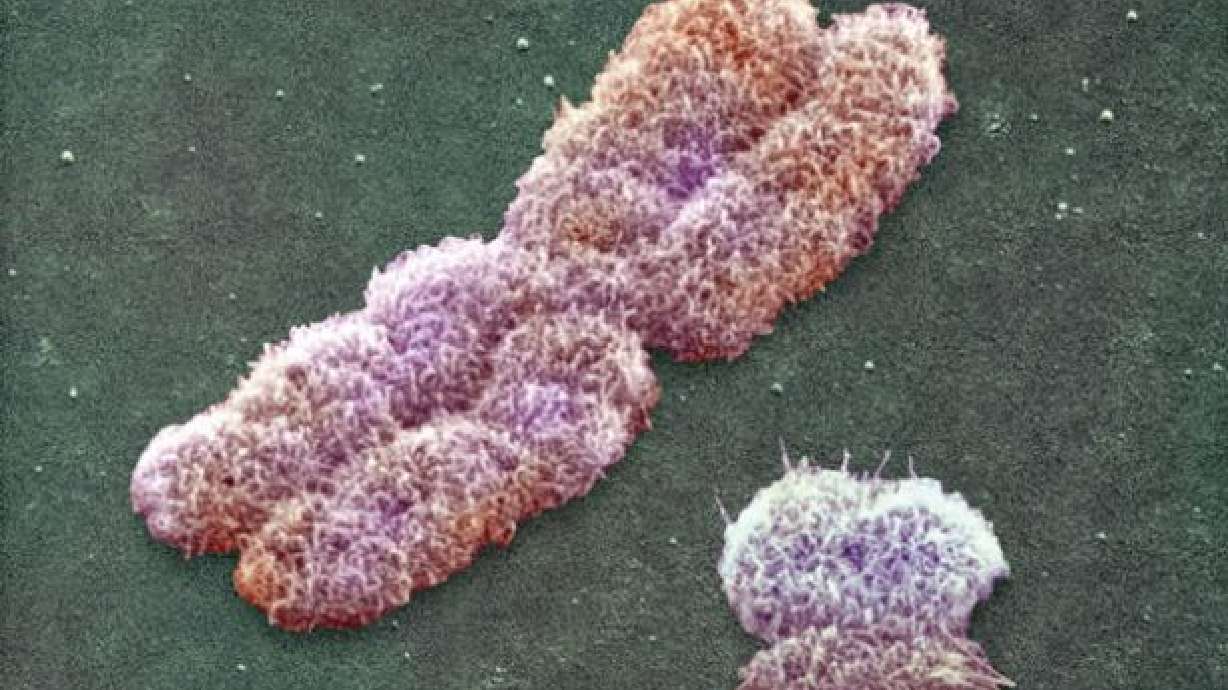 Adam lived before humans existed, 338,000 years ago, study shows