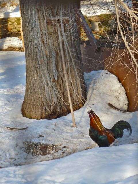 Originally built as a paradise for birds and people alike, Allen Park has become the stuff of stories, albeit false ones.