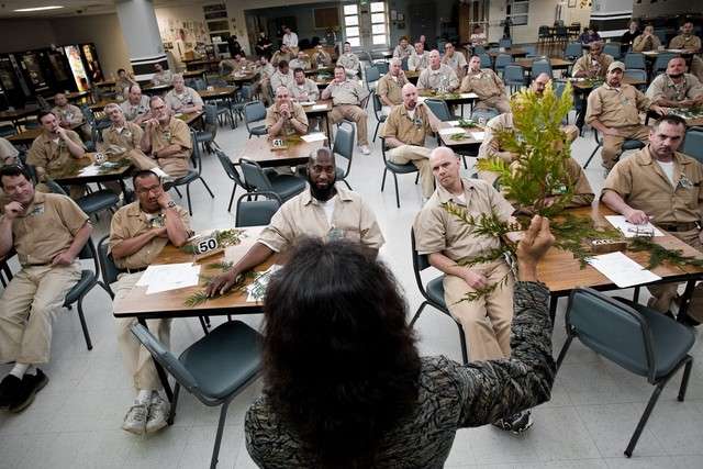 Nalini Nardkarni teaches inmates in a Washington correctional facility about forestry. (Photo: Benj Drummond)