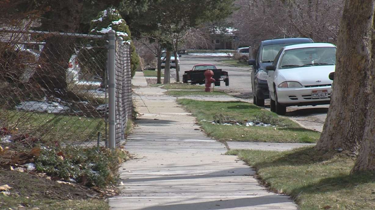 11-year-old girl attacked by pit bull; dog to be put down