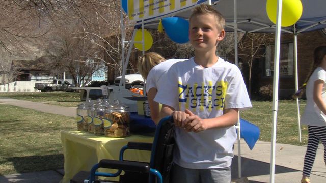 Boy sells lemonade and cookies to raise money for wheelchairs