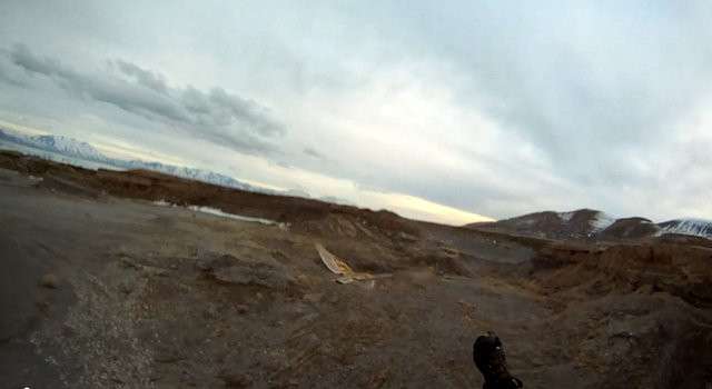 Paramotorists claim 'Super Dell' chased, kicked bird in flight