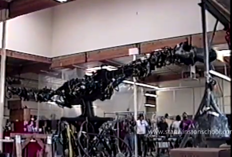 'Jurassic Park' T-Rex proves the real thing is better than CGI