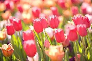 5 events to entertain you throughout Utah