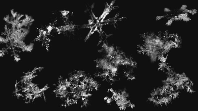 Cutting-edge camera discovers new images of snowflakes in free fall