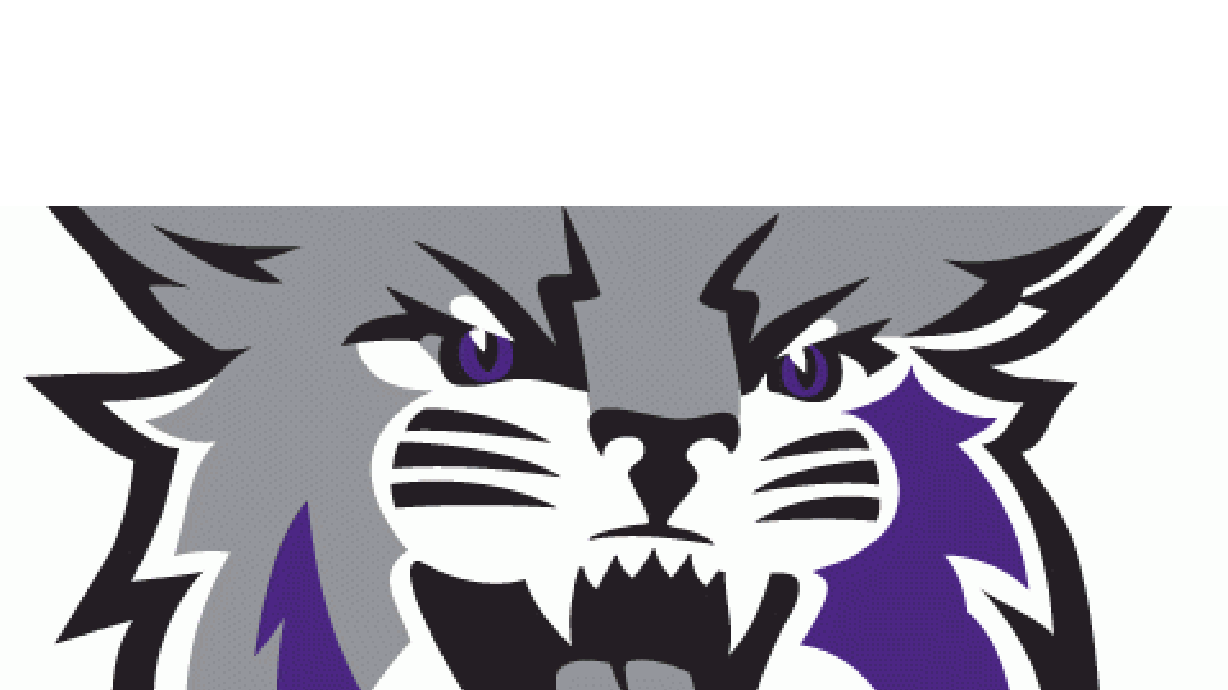 Weber State wraps up spring football with Purple and White game
