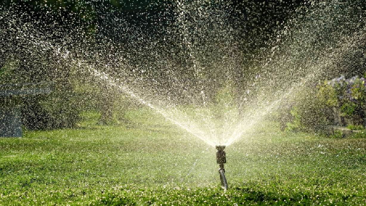 Utah water official says too early to water lawns
