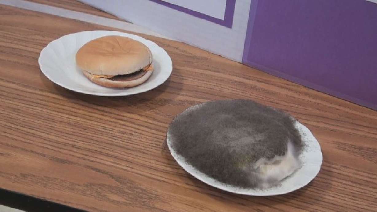 St. George girl solves McDonald's cheeseburger conundrum with science experiment