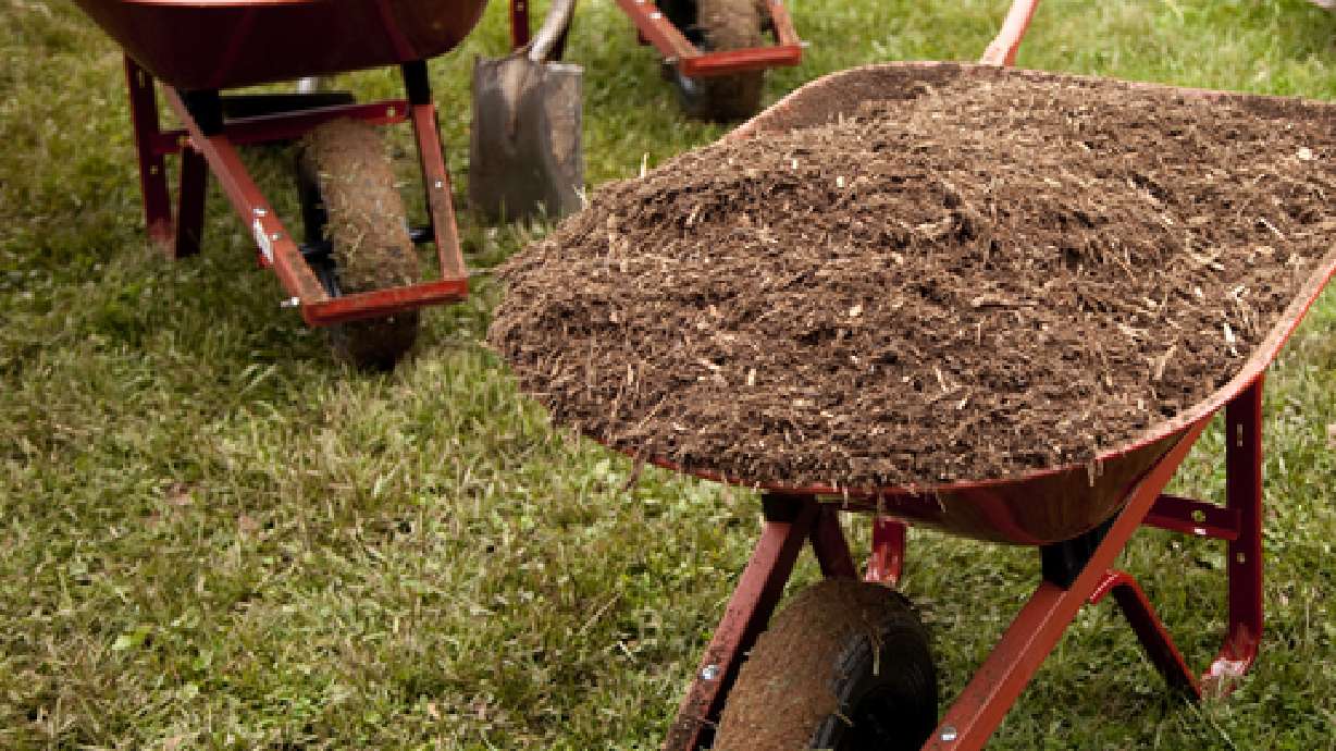 Compost and Mulch