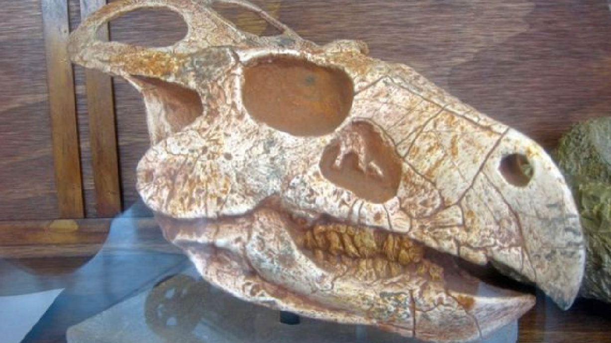 Tourist in your hometown: St. George Dinosaur Discovery