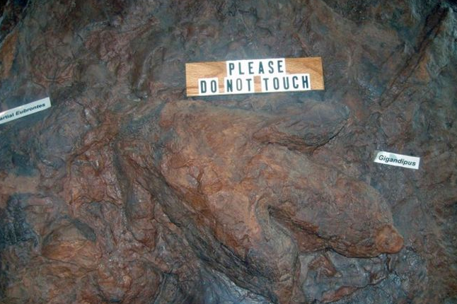 Tourist in your hometown: St. George Dinosaur Discovery