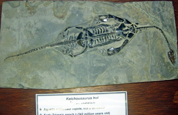 Tourist in your hometown: St. George Dinosaur Discovery