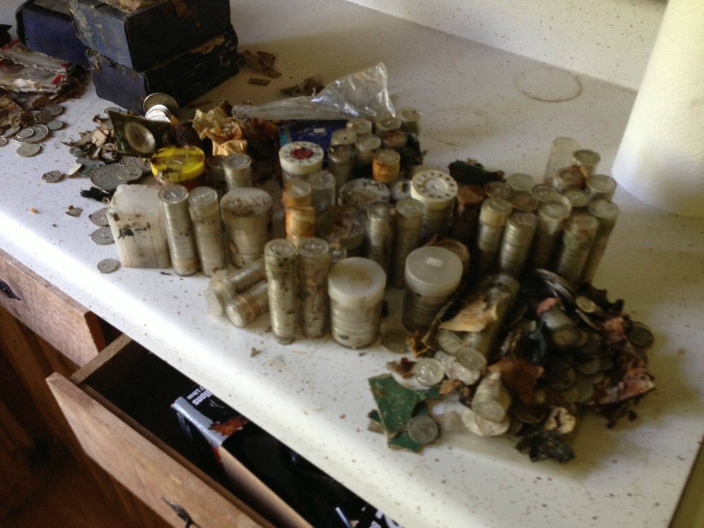 Tennessee grandmother's secret treasure discovered in hidden safe