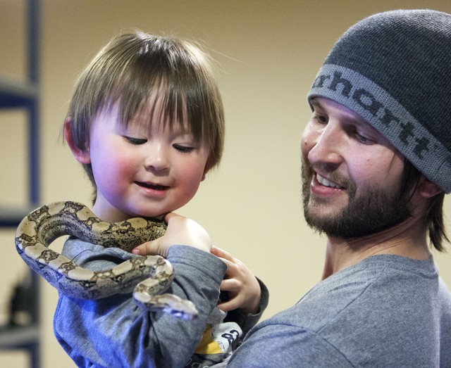 City allows snake owner to keep exotic collection for now