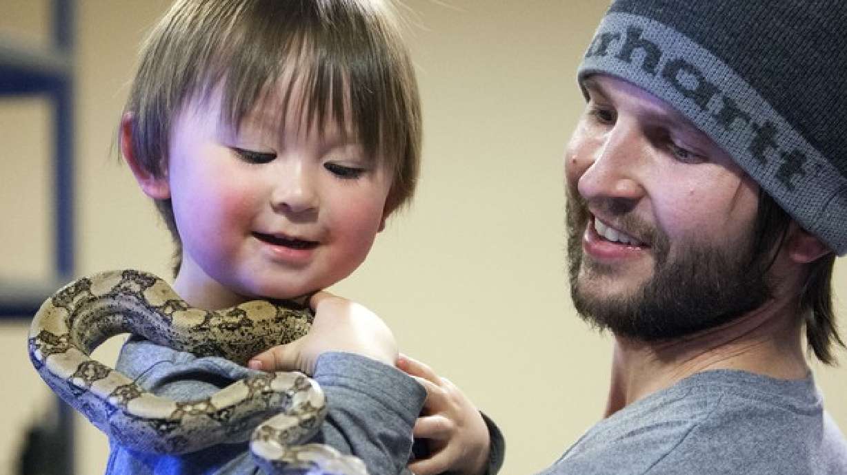 City allows snake owner to keep exotic collection for now