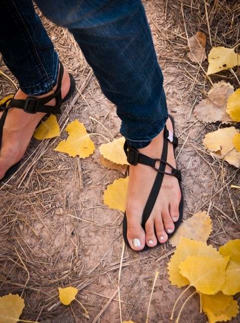 This is Terral Fox's Wikova Feather model. (Photo: Terral Fox)