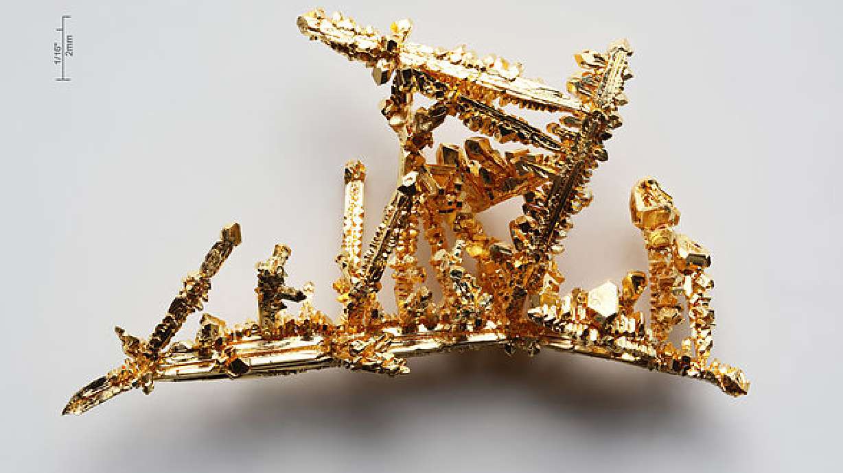 Scientist accidentally discovers gold extraction method using ...