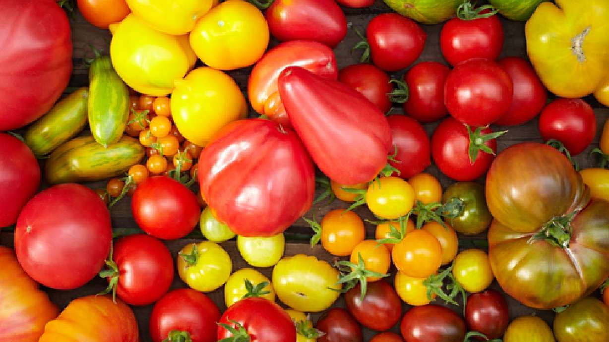 Starting your Garden-- Its not to late!