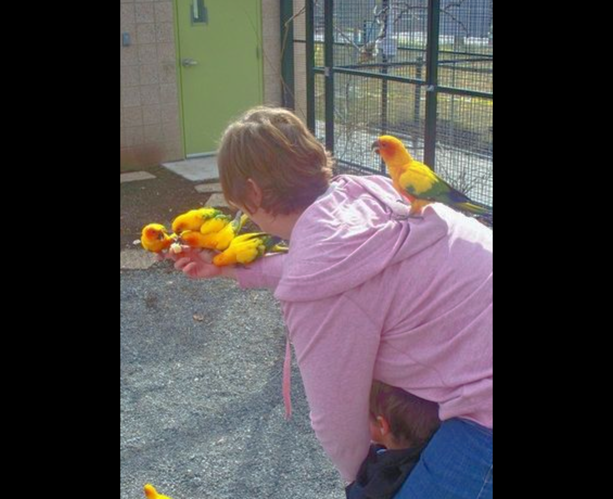 4 reasons to visit Tracy Aviary