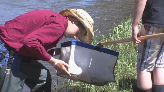 USU expands hands-on science camps for kids