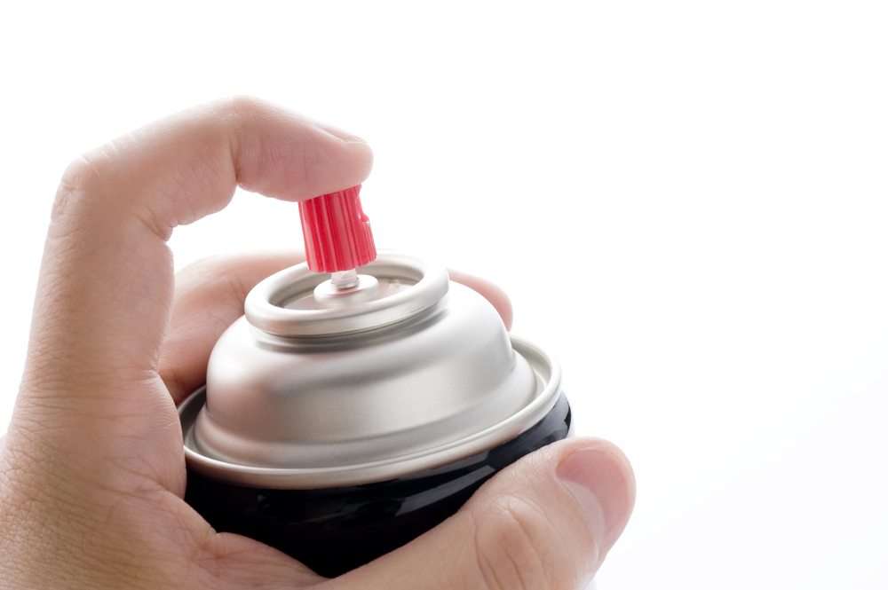 Woman killed dog by spraying Raid down throat, police say