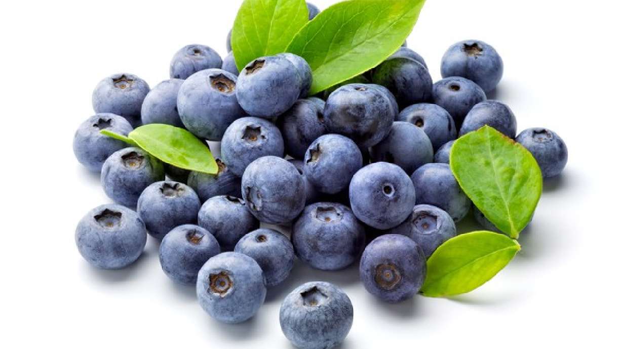 Arándanos, la fruta del siglo XXI