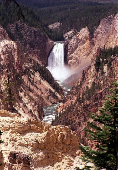 A un paso de casa: Vacaciones en Yellowstone