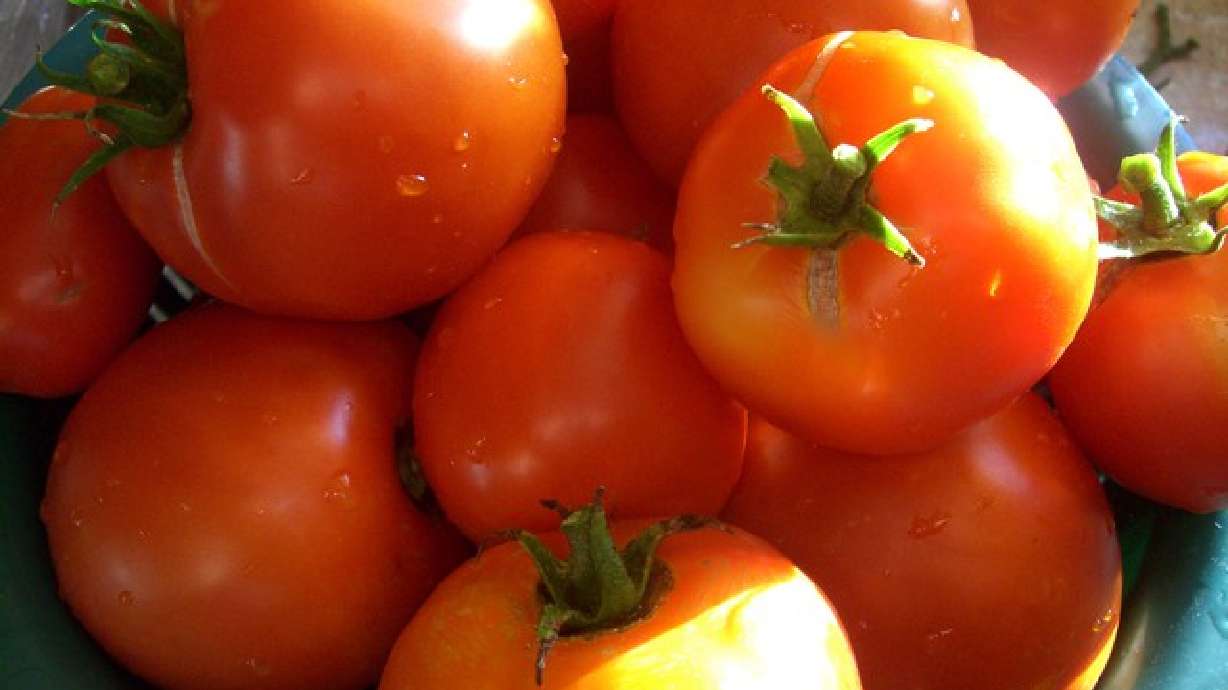 Una dieta con tomates reduce el riesgo de infarto en los hombres