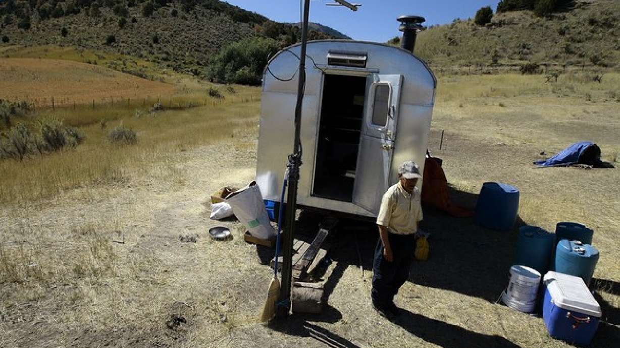 Los olvidados pastores