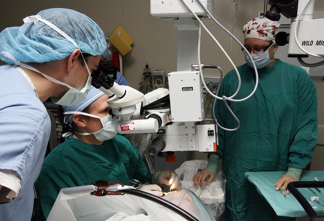 Ver un futuro más brillante