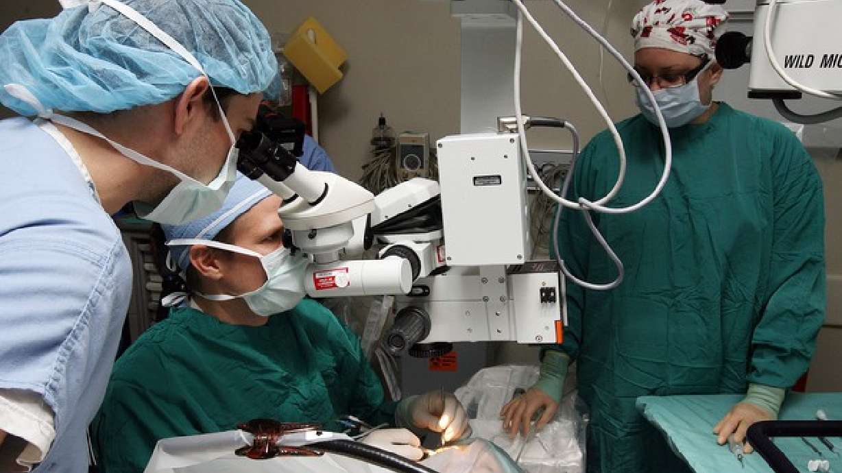 Ver un futuro más brillante