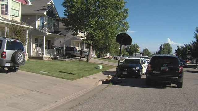 Brother who accidentally shot sister stole gun, police say