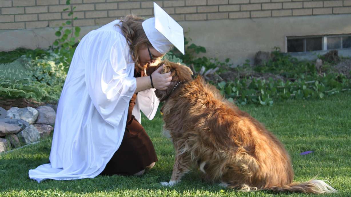 How my daughter recovered from real-world bullies