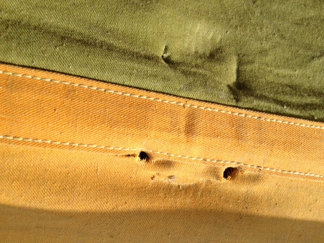 Bear surprises camper in High Uintas