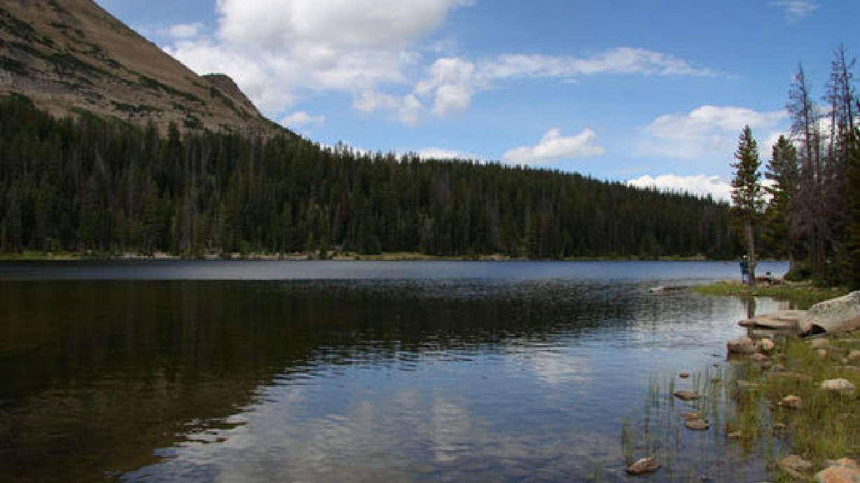 5 local camping spots to enjoy this summer