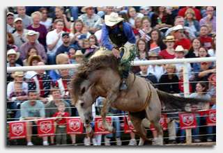 5 rodeos Utahns can attend this summer