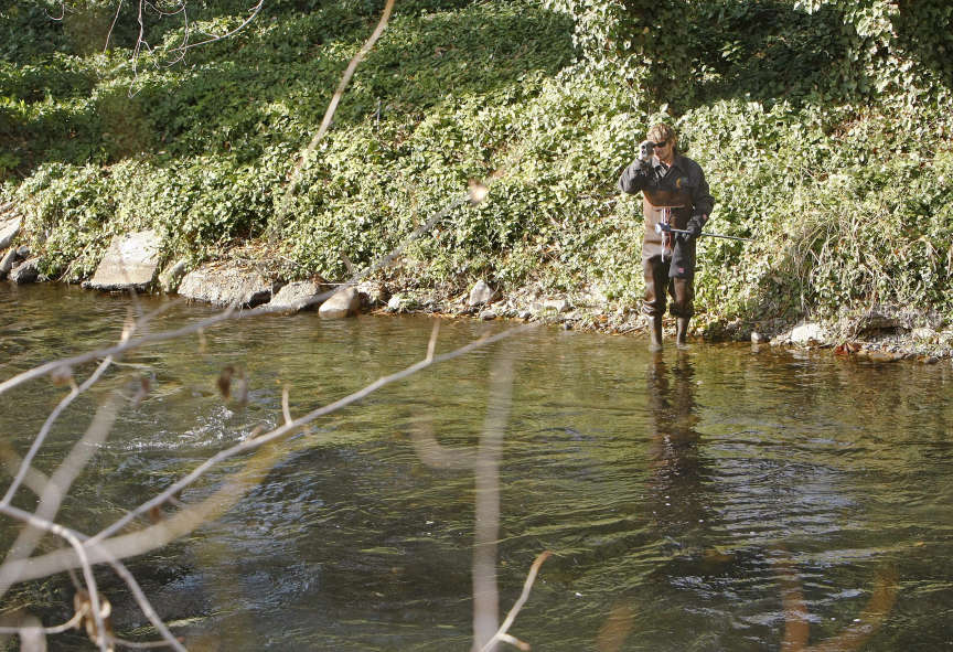 Unknown cause kills 300 fish in Provo River