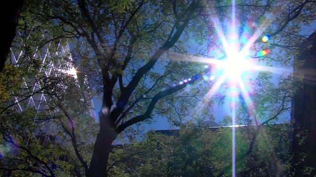 High of 82 sets heat record for Salt Lake City