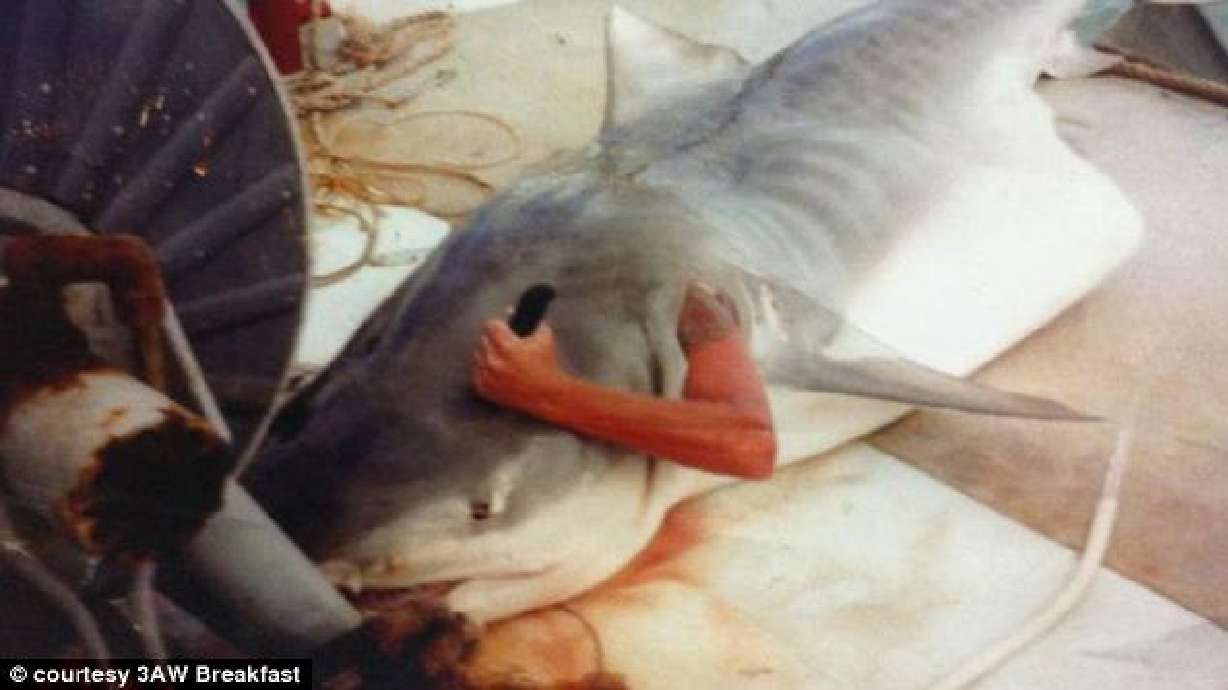 Photo of man cutting his way out of shark goes viral
