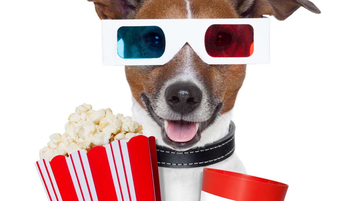 Un canal de televisión para perros, el ultimo grito en ocio canino